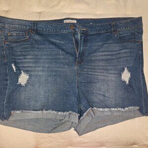 Molly & Isadora Plus Size Distressed Denim Shorts